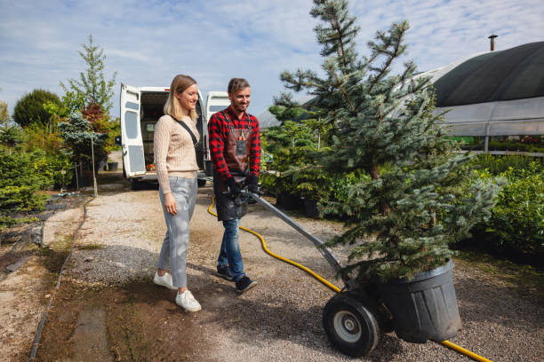 Best Palm Tree Trimming  in Quinlan, TX